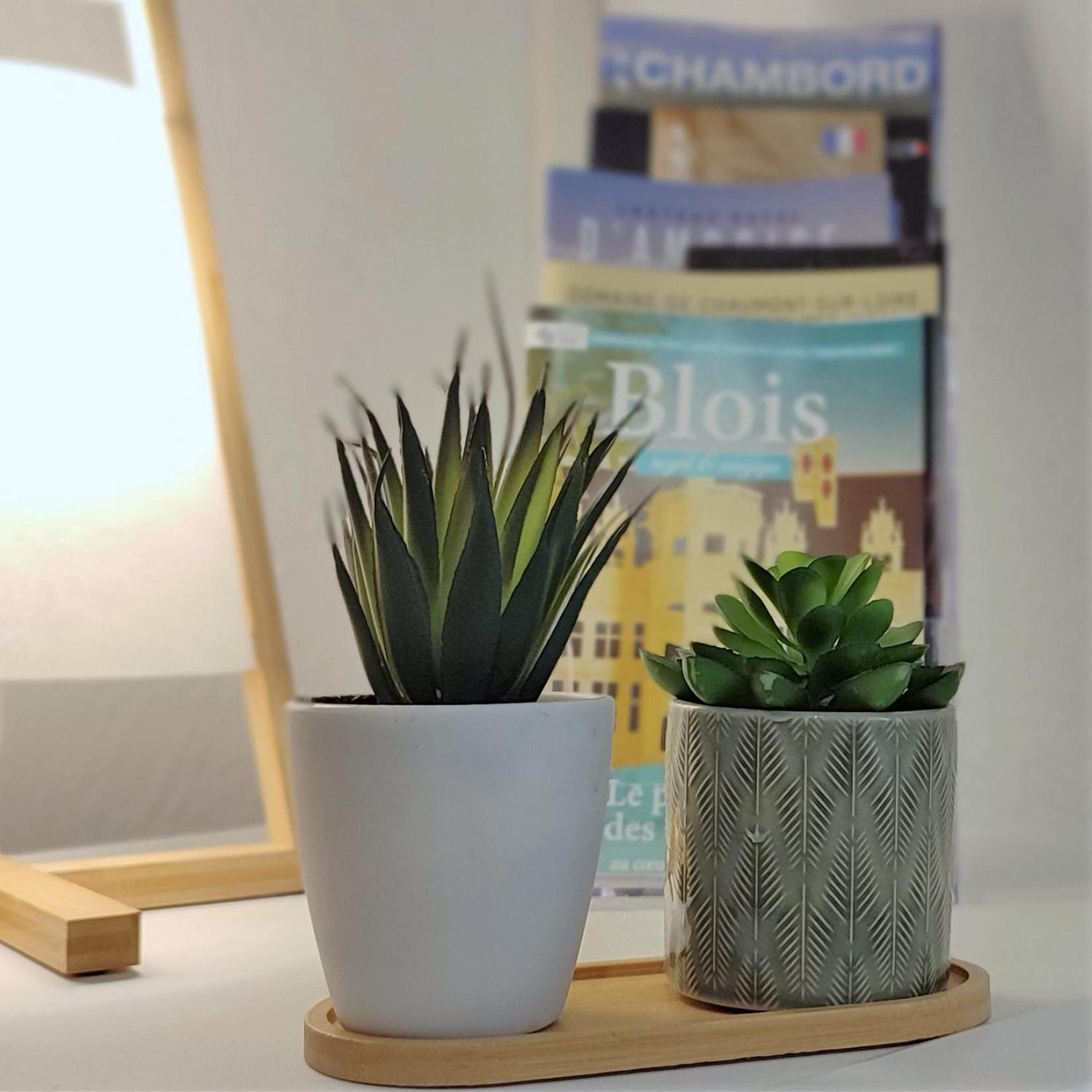 - Le Petit Saint Jean Apartment Blois